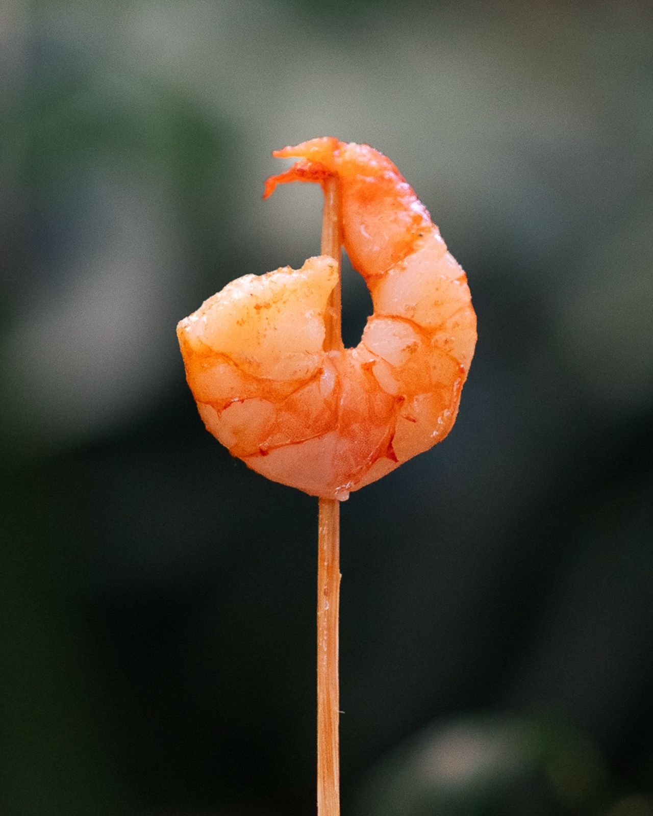 King prawn on a skewer, freshly cooked