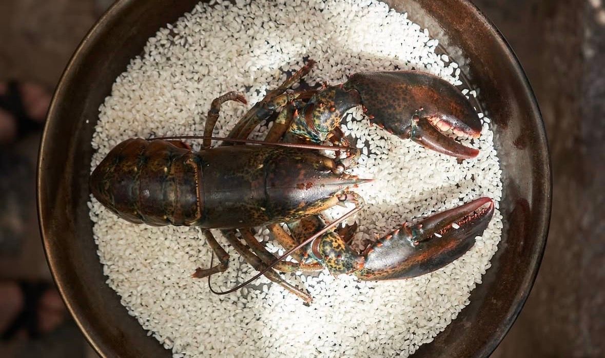 Bogavante fresco entero sobre el arroz crudo en la paellera, listo para cocinar por encargo en Bar Molino