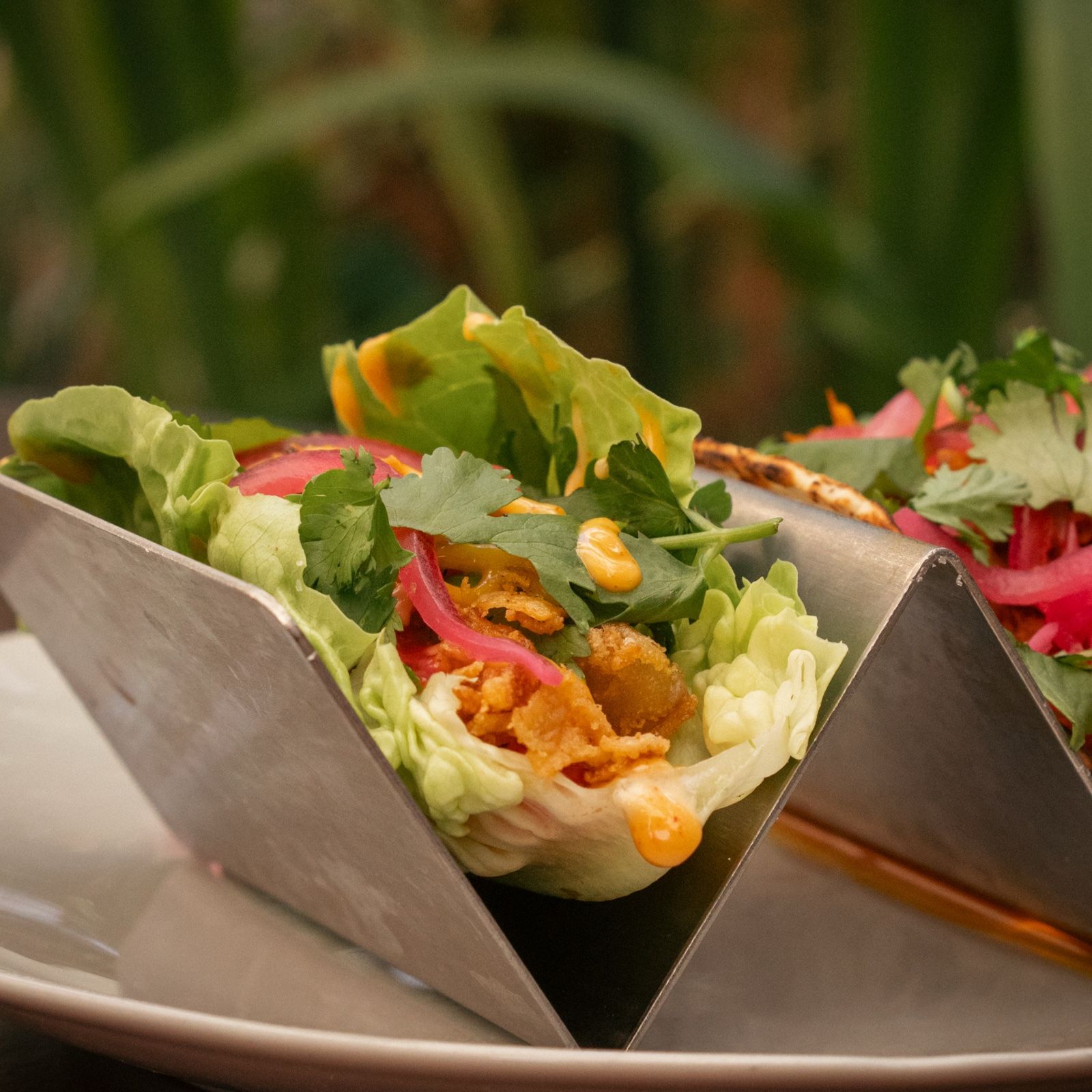 Taco leaf with king prawn, pickled onion, coriander and kimchi mayo