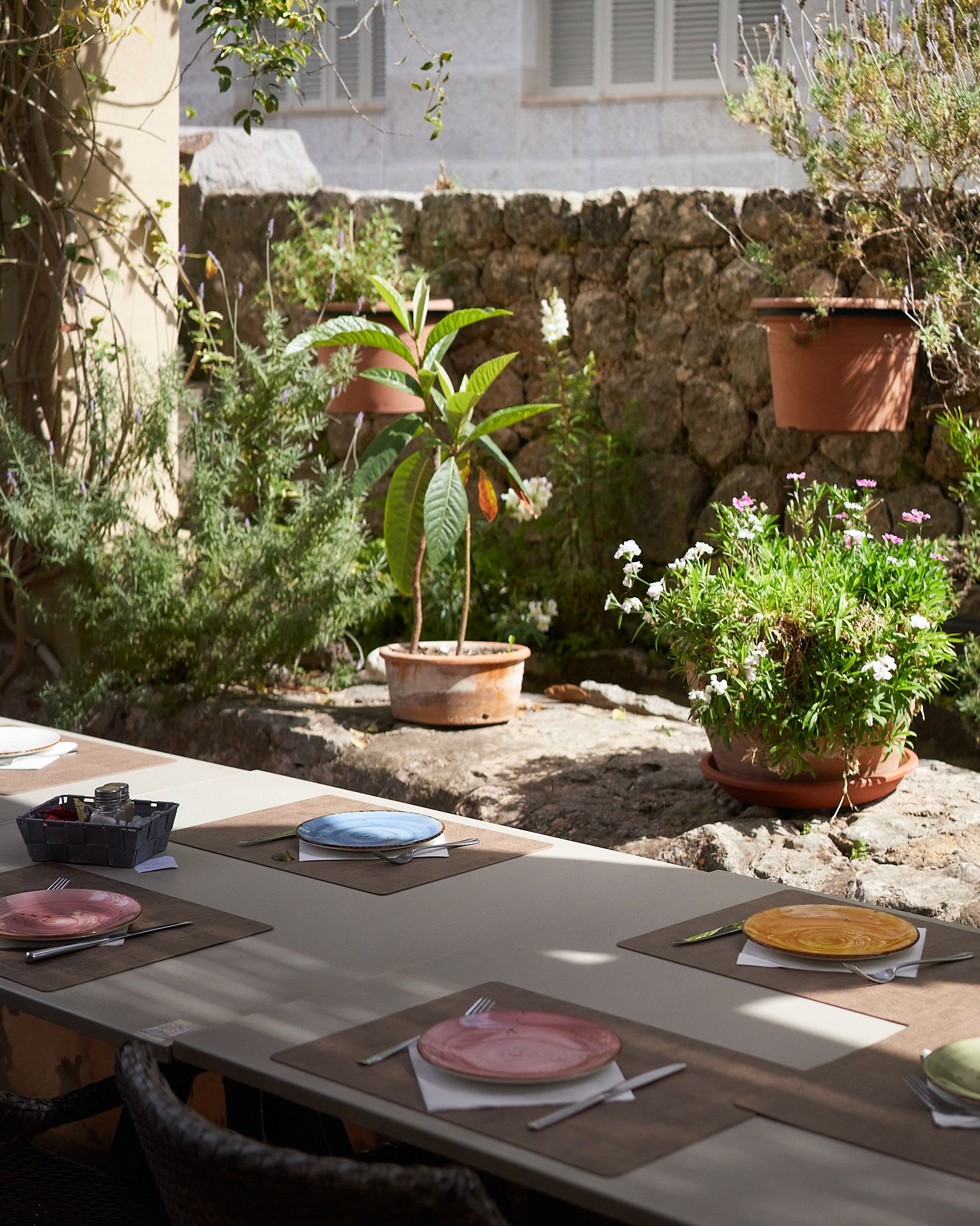 Mesa larga de la terraza del Bar Molino, junto a la acequia, puesta con platos de colores frente al jardín con macetas.