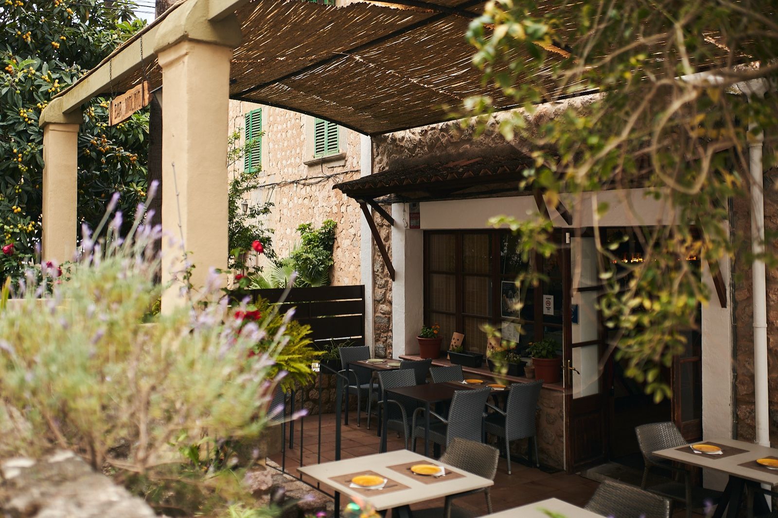 Terraza del Bar Molino bajo la pérgola, con mesas entre la vegetación, en Sóller