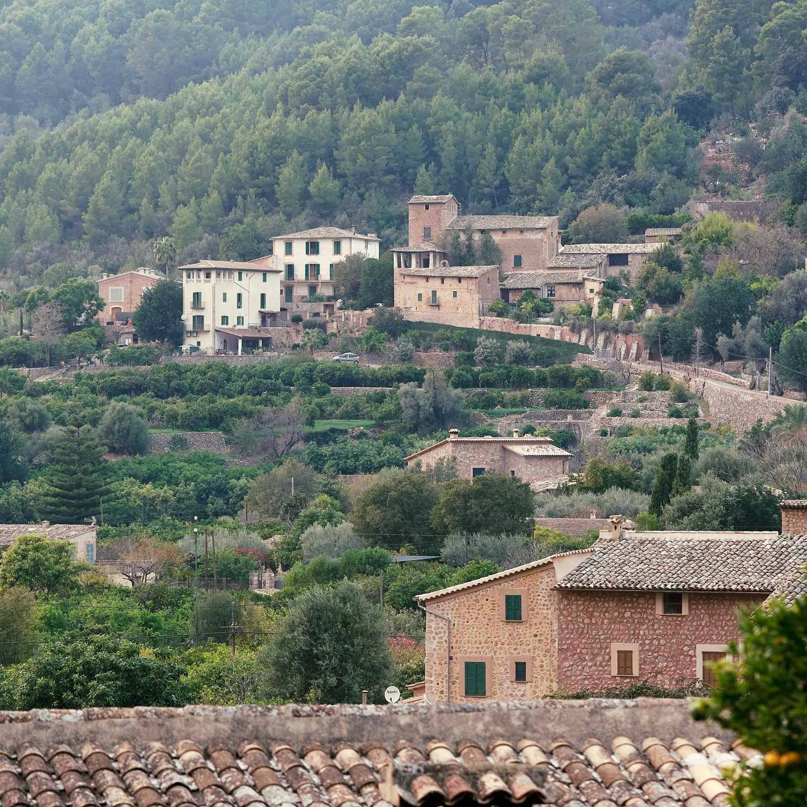 Blick auf das Tal von Sóller vom Bar Molino aus, mit Steinhäusern zwischen Obstgärten und bewaldeten Bergen
